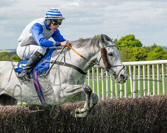 Race 2 - Maiden (80 of 122)