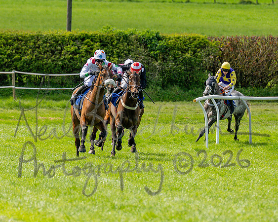 Race 2 - Maiden (83 of 122)