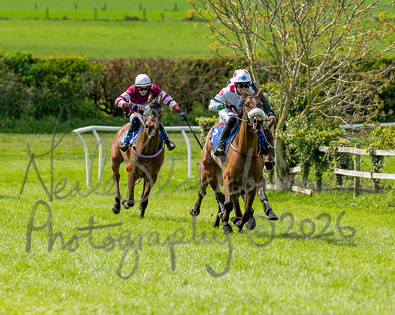 Race 2 - Maiden (84 of 122)
