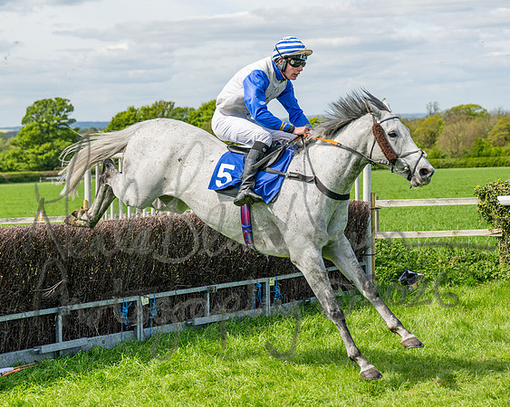 Race 2 - Maiden (82 of 122)