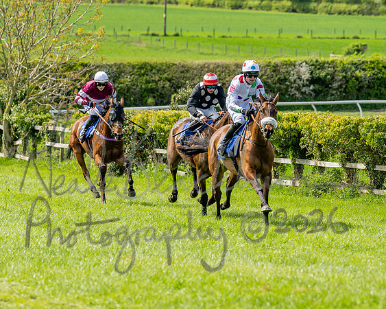Race 2 - Maiden (85 of 122)