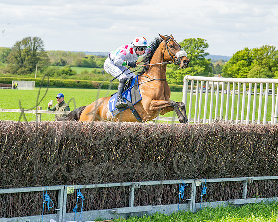 Race 2 - Maiden (86 of 122)