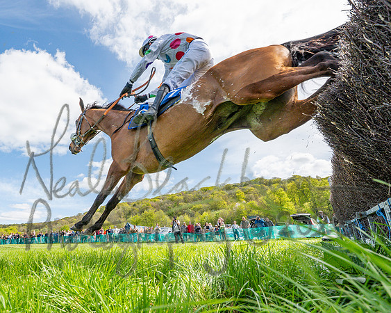 Race 2 - Maiden (88 of 122)