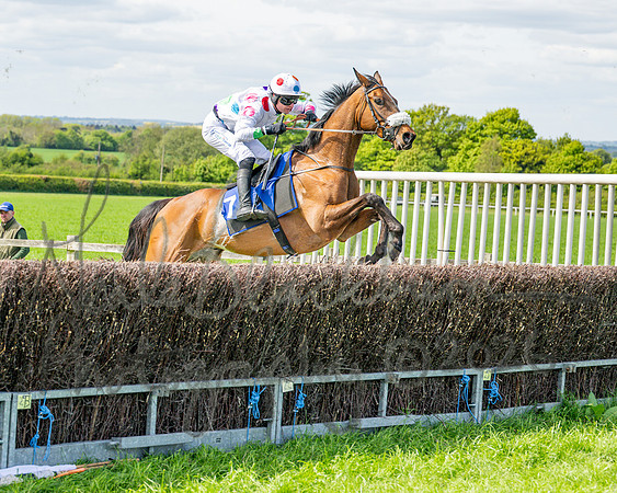 Race 2 - Maiden (87 of 122)
