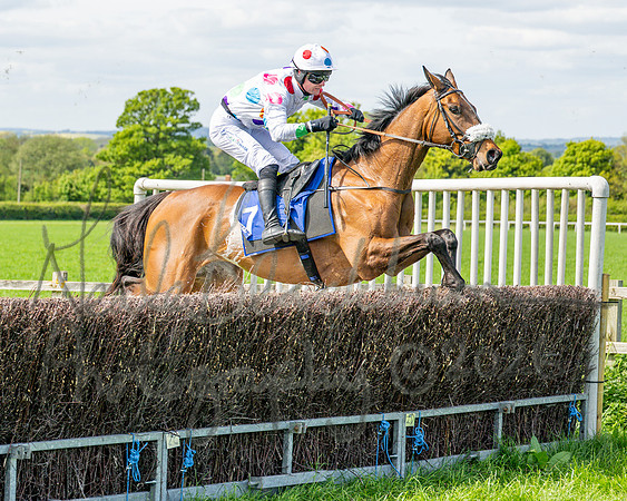 Race 2 - Maiden (89 of 122)