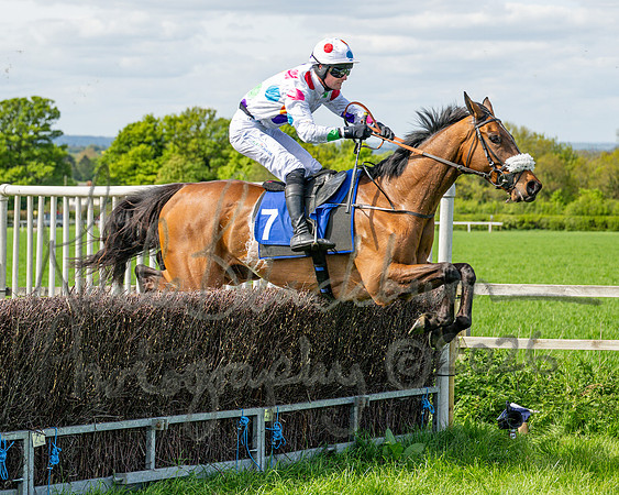 Race 2 - Maiden (90 of 122)