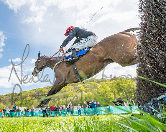 Race 2 - Maiden (91 of 122)