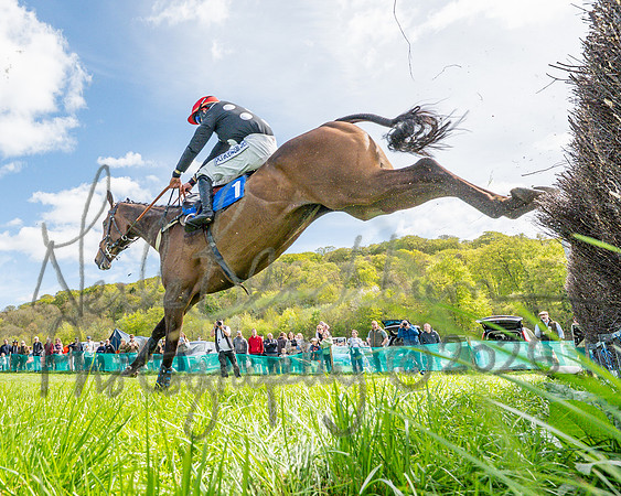 Race 2 - Maiden (93 of 122)