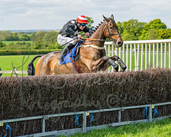 Race 2 - Maiden (92 of 122)