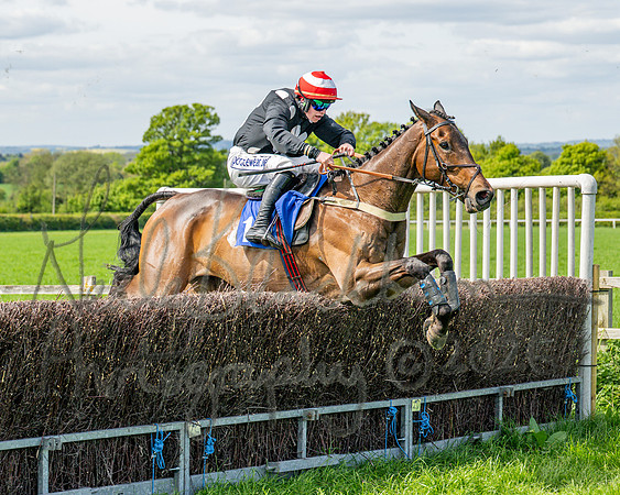 Race 2 - Maiden (94 of 122)