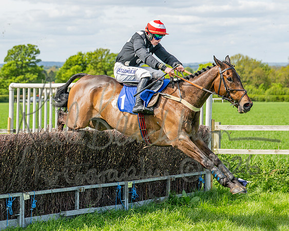 Race 2 - Maiden (95 of 122)