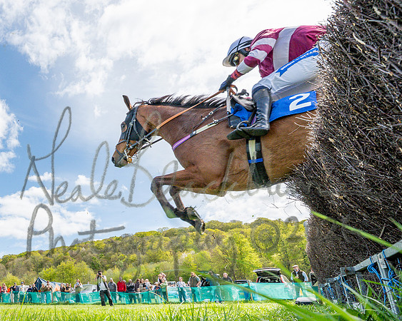 Race 2 - Maiden (96 of 122)