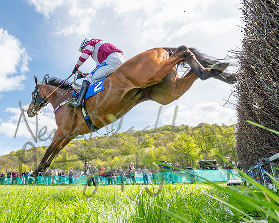 Race 2 - Maiden (97 of 122)
