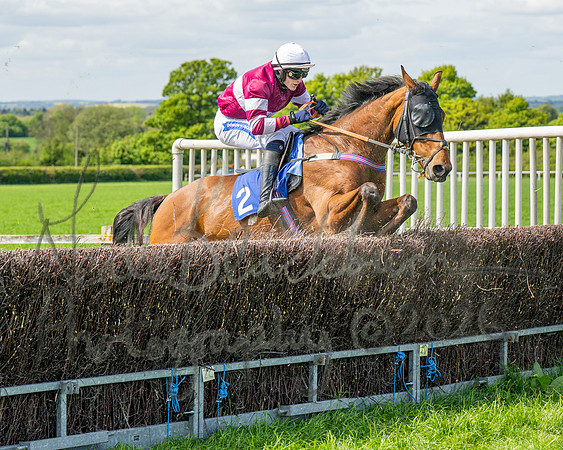 Race 2 - Maiden (98 of 122)