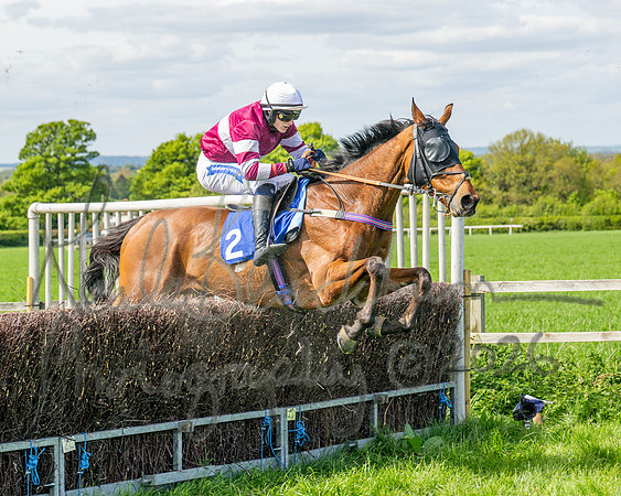Race 2 - Maiden (99 of 122)