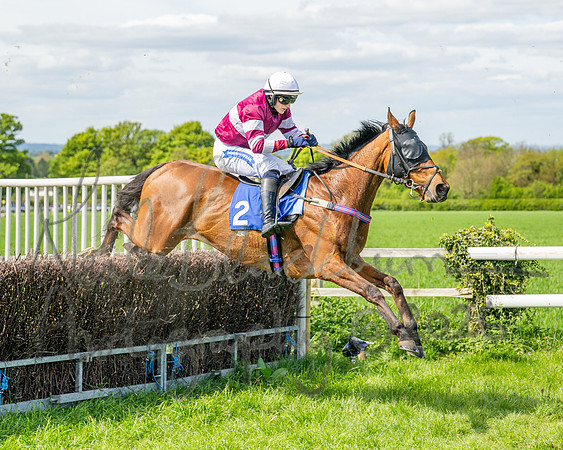 Race 2 - Maiden (100 of 122)