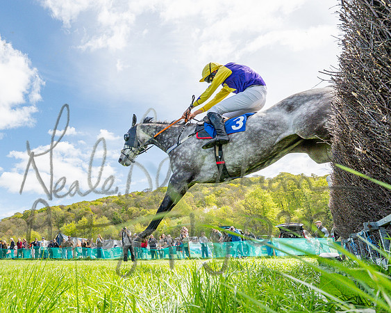 Race 2 - Maiden (102 of 122)