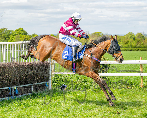 Race 2 - Maiden (101 of 122)