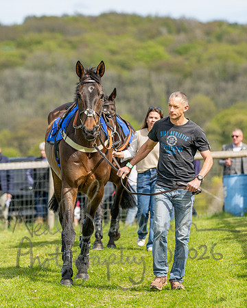 Race 3 - Novice Riders (11 of 100)