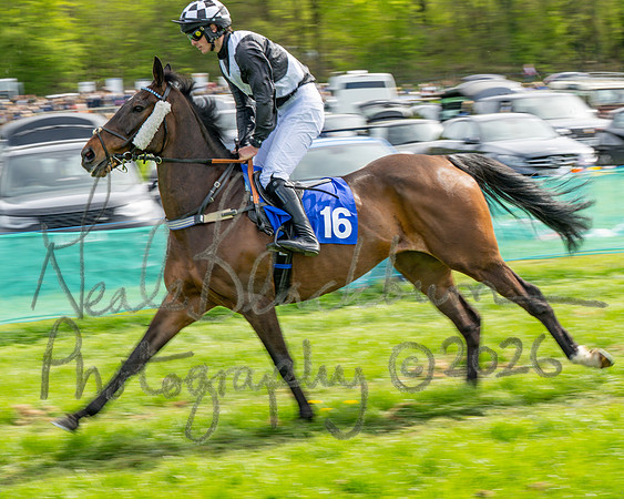 Race 4 - Mixed Open (19 of 103)