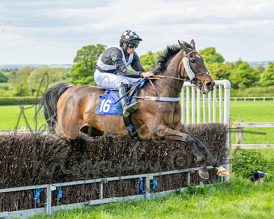 Race 4 - Mixed Open (74 of 103)