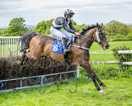 Race 4 - Mixed Open (75 of 103)