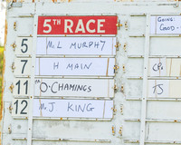 Race 5 - Restricted (1 of 88)