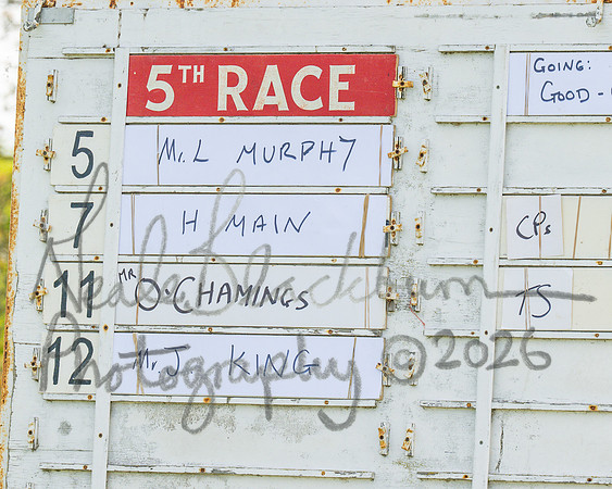 Race 5 - Restricted (1 of 88)