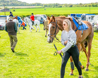 Race 5 - Restricted (3 of 88)