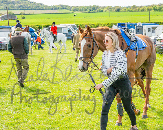 Race 5 - Restricted (3 of 88)
