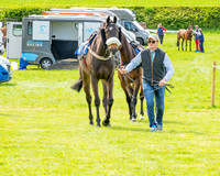 Race 5 - Restricted (5 of 88)
