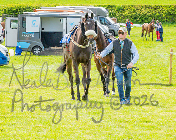 Race 5 - Restricted (5 of 88)