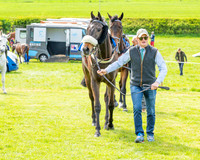 Race 5 - Restricted (6 of 88)