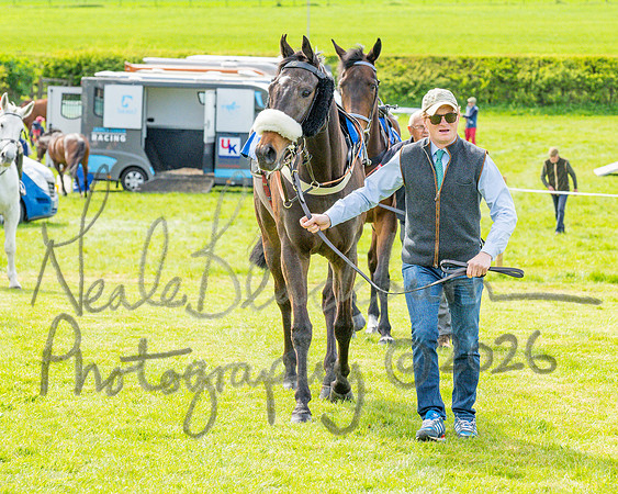 Race 5 - Restricted (6 of 88)