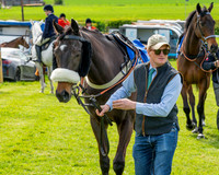 Race 5 - Restricted (7 of 88)