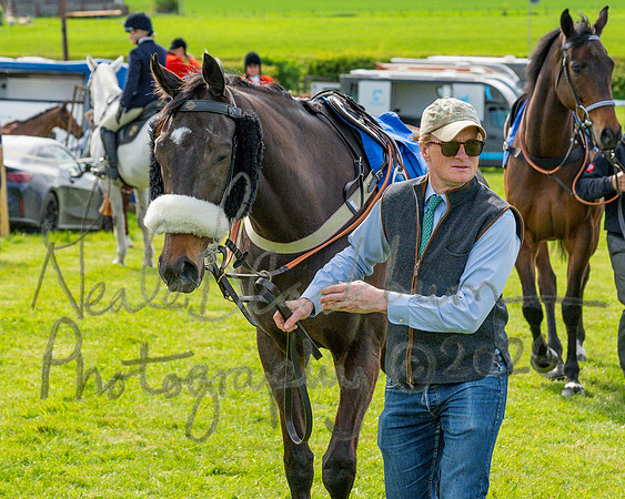 Race 5 - Restricted (7 of 88)