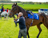 Race 5 - Restricted (10 of 88)
