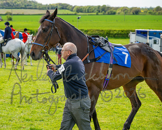Race 5 - Restricted (10 of 88)
