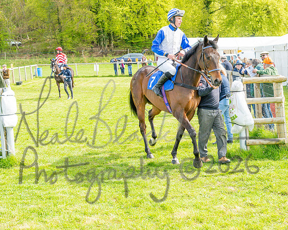 Race 5 - Restricted (29 of 88)