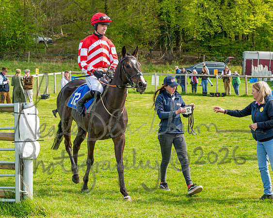 Race 5 - Restricted (30 of 88)
