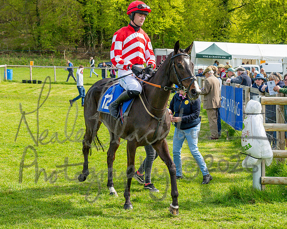 Race 5 - Restricted (31 of 88)