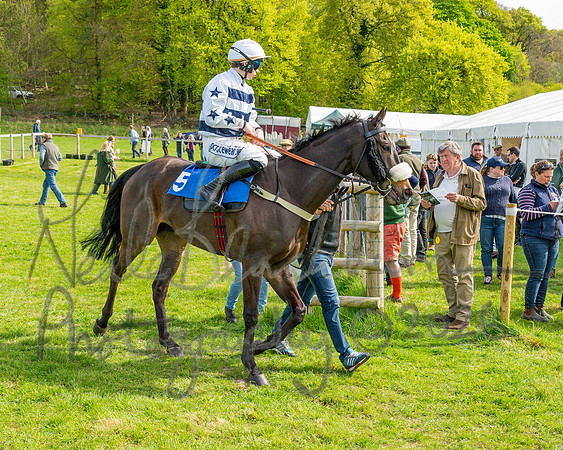 Race 5 - Restricted (36 of 88)