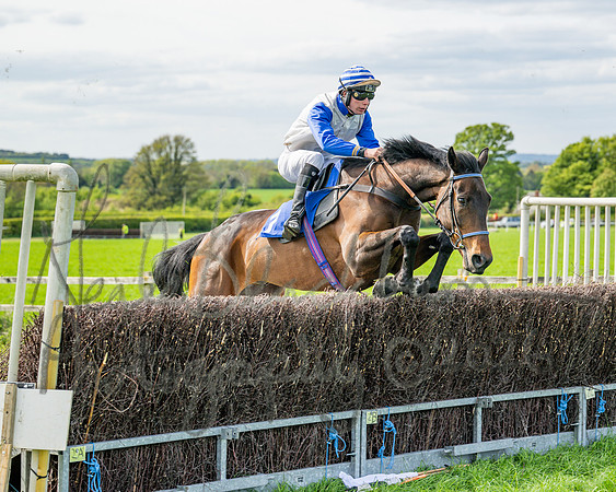 Race 5 - Restricted (37 of 88)