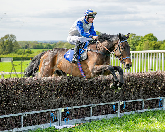 Race 5 - Restricted (38 of 88)