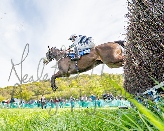 Race 5 - Restricted (40 of 88)
