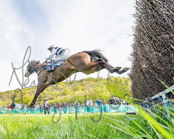 Race 5 - Restricted (41 of 88)