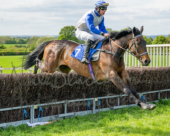 Race 5 - Restricted (39 of 88)