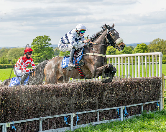 Race 5 - Restricted (42 of 88)