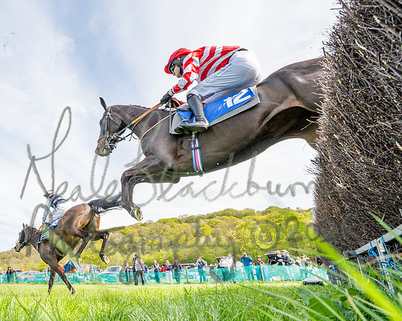 Race 5 - Restricted (43 of 88)
