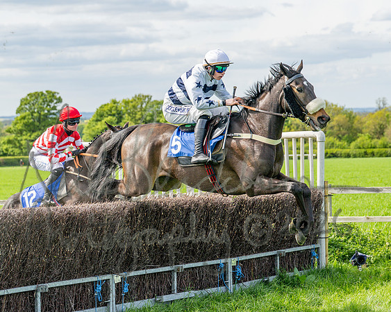 Race 5 - Restricted (44 of 88)